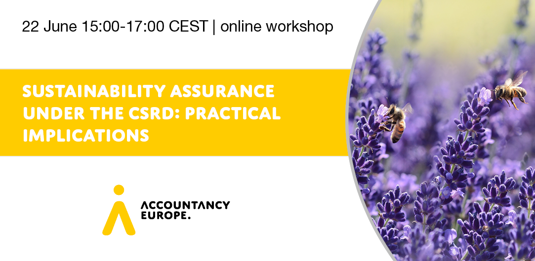 Sustainability assurance under the CSRD: practical implications